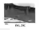 Fig. 52 - Methods and reagents for the enhancement of virus transduction in the bladder epithelium