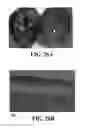 Fig. 53 - Methods and reagents for the enhancement of virus transduction in the bladder epithelium