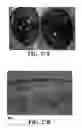 Fig. 55 - Methods and reagents for the enhancement of virus transduction in the bladder epithelium