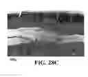 Fig. 58 - Methods and reagents for the enhancement of virus transduction in the bladder epithelium