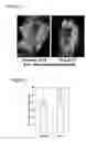 Fig. 02 - Methods and Compositions for Increasing Stem Cell Homing Using Gas Activators