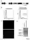 Fig. 01 - RECOMBINANT EUKARYOTIC CELLS STABLY EXPRESSING (SID-1) PROTEINS FOR HIGH THROUGHPUT GENE SCREENING