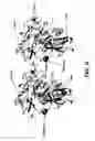 Fig. 08 - Catalytically active recombinant memapsin and methods of use thereof