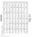 Fig. 30 - Optimized dosing with anti-CD4 antibodies for tolerance induction in primates