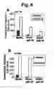 Fig. 07 - Naturally occurring IgM antibodies that bind lymphocytes