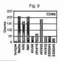 Fig. 10 - Naturally occurring IgM antibodies that bind lymphocytes
