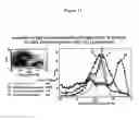 Fig. 12 - Naturally occurring IgM antibodies that bind lymphocytes