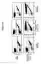 Fig. 17 - Naturally occurring IgM antibodies that bind lymphocytes