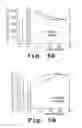 Fig. 06 - METHOD AND COMPOSITION FOR PREVENTING PAIN IN SICKLE CELL PATIENTS