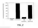 Fig. 03 - Anti-ErbB2 antibodies