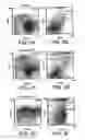 Fig. 06 - Anti-ErbB2 antibodies