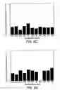 Fig. 10 - Anti-ErbB2 antibodies