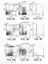 Fig. 12 - Anti-ErbB2 antibodies