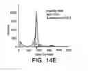 Fig. 19 - Anti-ErbB2 antibodies