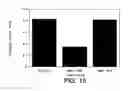 Fig. 20 - Anti-ErbB2 antibodies