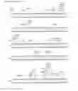 Fig. 40 - Chlamydia OMP antigen