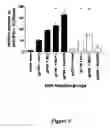 Fig. 06 - Directional induction of immune response by co-administration of antigens with chemokines