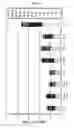 Fig. 06 - Supertype Epitopes, Oligonucleotides Coding The Same Which Induce Effective Ctl Response Against Hcv And The Use Thereof