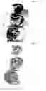 Fig. 08 - Composition Comprising an Extract of Gramineae Plant for the Prevention and Treatment of Ischemic Diseases and Degenerative Brain Diseases and the Use Thereof