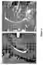 Fig. 07 - Method for Prevention or Treatment of Inflammatory Disease