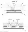 Fig. 07 - Fibrillar microstructure for conformal contact and adhesion