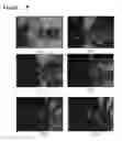Fig. 08 - Fibrillar microstructure for conformal contact and adhesion