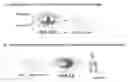 Fig. 01 - Transient protein expression methods