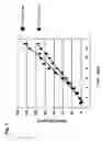 Fig. 06 - Transient protein expression methods