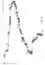 Fig. 06 - Polypeptide Hormone Phosphatonin