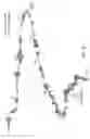Fig. 11 - Polypeptide Hormone Phosphatonin