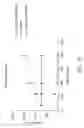 Fig. 13 - Polypeptide Hormone Phosphatonin