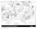Fig. 01 - Fluorescent carbon nanoparticles