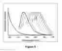 Fig. 06 - Fluorescent carbon nanoparticles