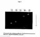 Fig. 02 - Method of Labeling with Use of Rare Earth Fluorescent Complex and Method of Analyzing and Detecting