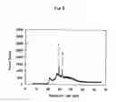 Fig. 09 - Method of Labeling with Use of Rare Earth Fluorescent Complex and Method of Analyzing and Detecting