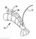 Fig. 01 - Freshwater Shrimp And Method Of Preparing Same For Packaging, Sale And Consumption