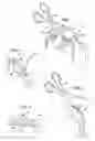 Fig. 02 - Freshwater Shrimp And Method Of Preparing Same For Packaging, Sale And Consumption