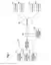 Fig. 02 - Community management server, communication terminal, content transmission system, and content transmission method