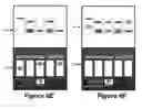 Fig. 11 - Separable game graphics on a gaming machine