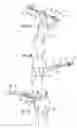 Fig. 04 - BATTING SWING TRAINER AND METHOD
