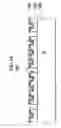 Fig. 06 - Probe array and associated methods