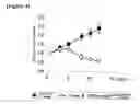 Fig. 08 - Immunosuppressive agent and anti-tumor agent comprising heterocyclic compound as active ingredient