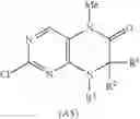 Fig. 10 - Dihydropteridione Intermediate Compounds