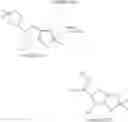 Fig. 24 - MONOSACCHARIDE DERIVATIVES