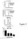 Fig. 09 - TRPM2-specfic inhibitors