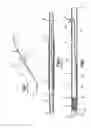 Fig. 02 - MAPPING PROBE SYSTEM FOR NEUROMUSCULAR ELECTRICAL STIMULATION APPARATUS