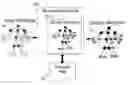 Fig. 01 - System and method for data transformation