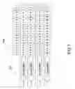 Fig. 08 - Reconfigurable image processor and the application architecture thereof