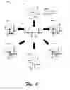 Fig. 07 - Spatial curvature for multiple objective routing