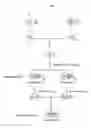Fig. 03 - Amphidiploid Aquatic Animal and Method of Breeding the Same